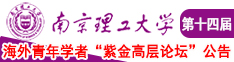 91jk船长南京理工大学第十四届海外青年学者紫金论坛诚邀海内外英才！